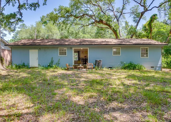 Walk To Munson: Tree-filled Gem! * Tallahassee